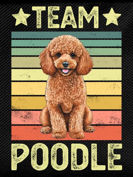 Dog Poodle