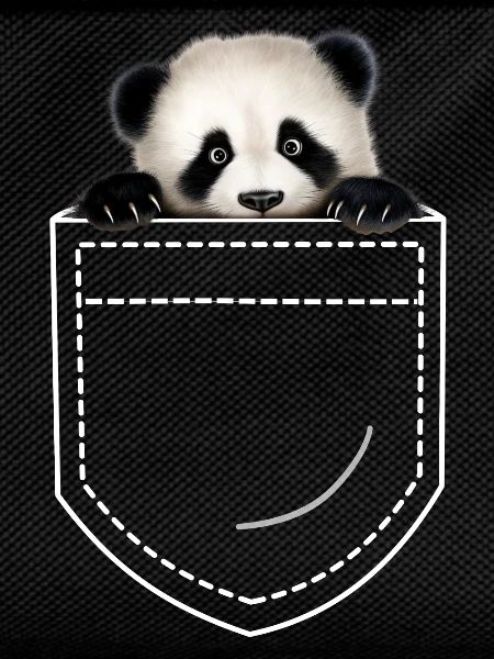 Panda Panda Ours