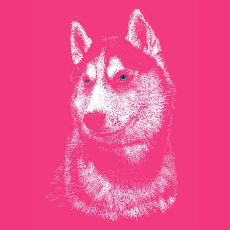 Husky