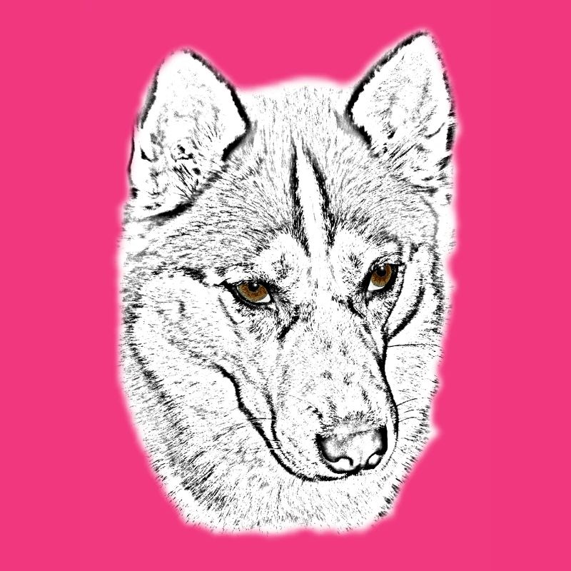 Wolfskopf Line Study