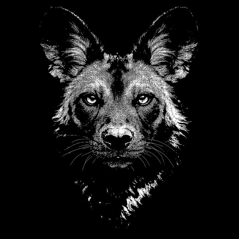 painted hunting dog