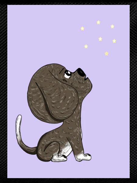 Dog and starry sky