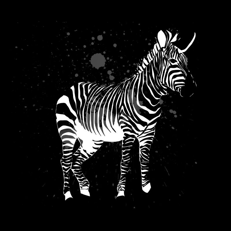 zèbre