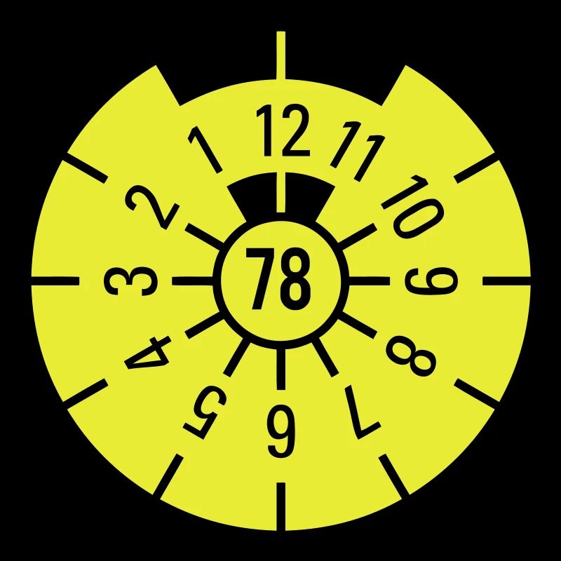 TÜV 1978