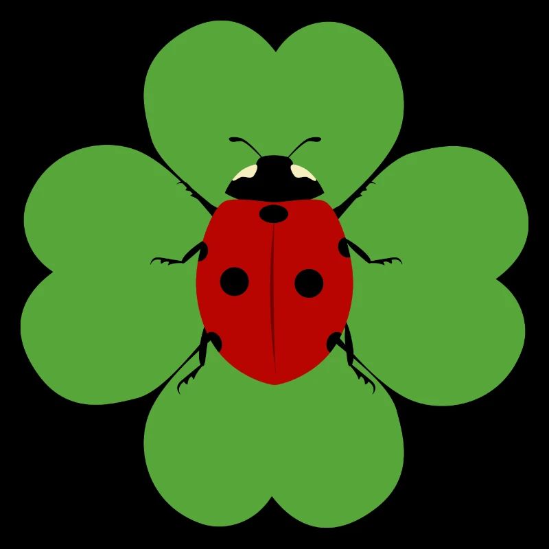 Kleeblatt Marienkäfer