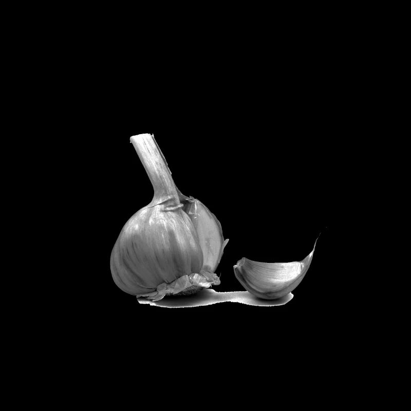 Knoblauch