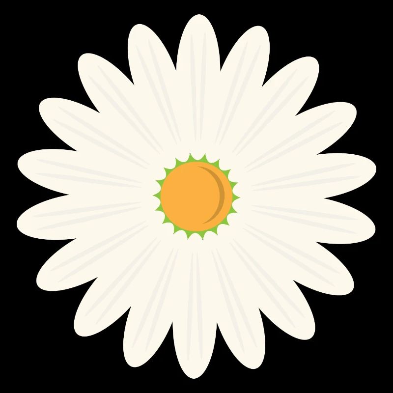 Margerite blossom