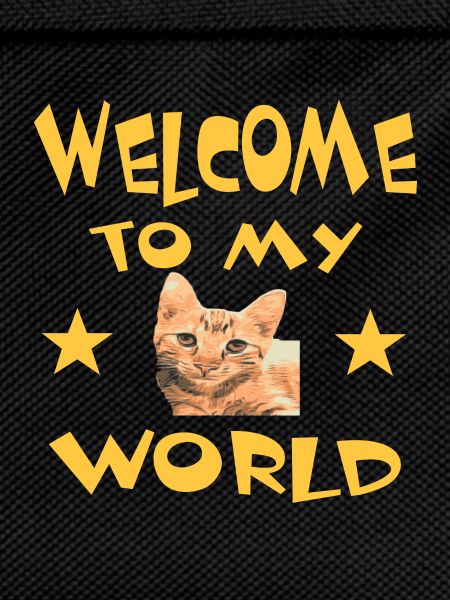 Chat
