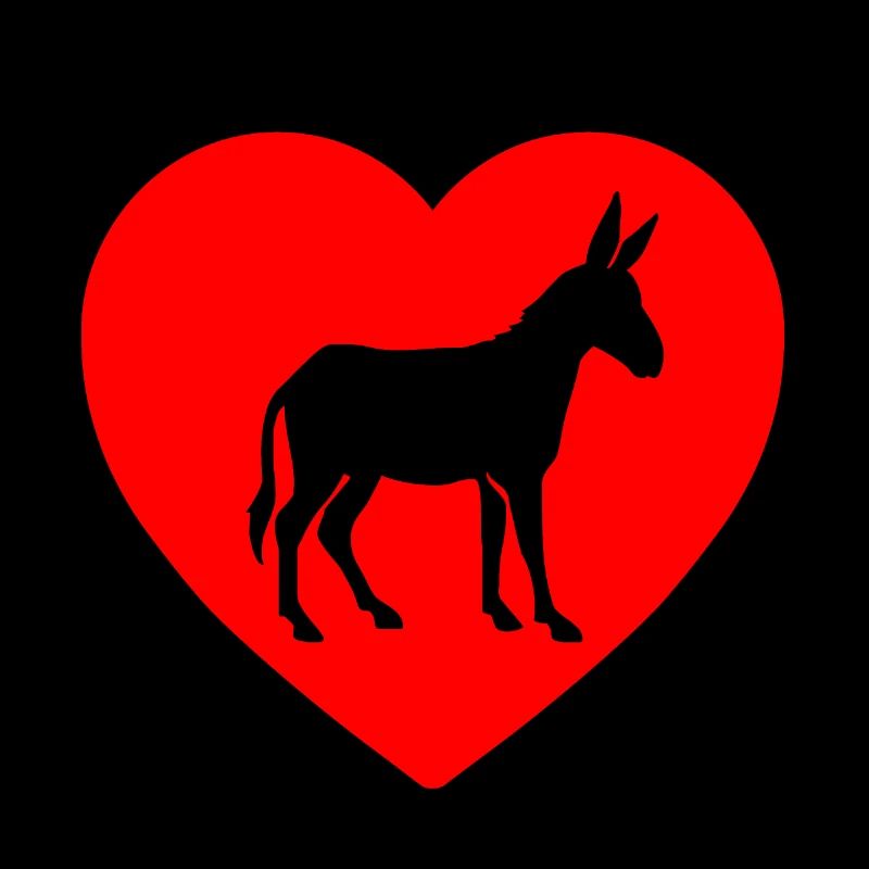 Donkey