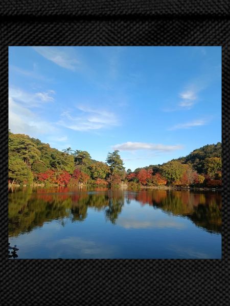 Lake view