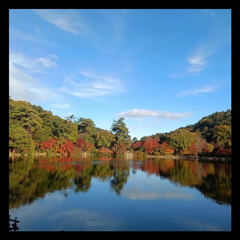 Lake view