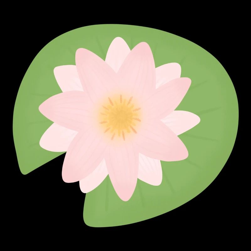 fleur de lotus