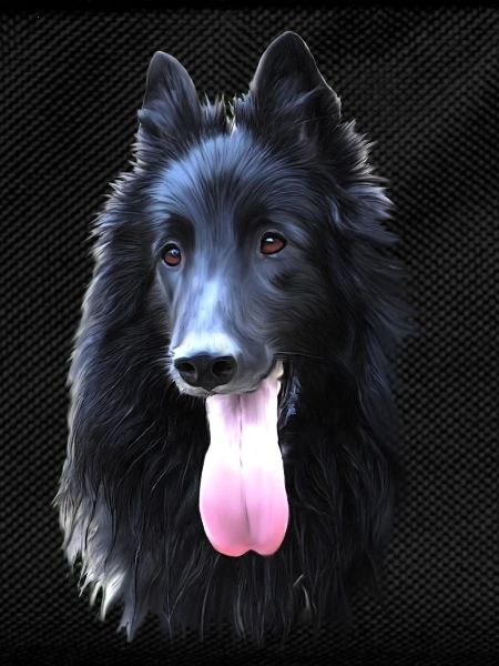 Belgian groendal