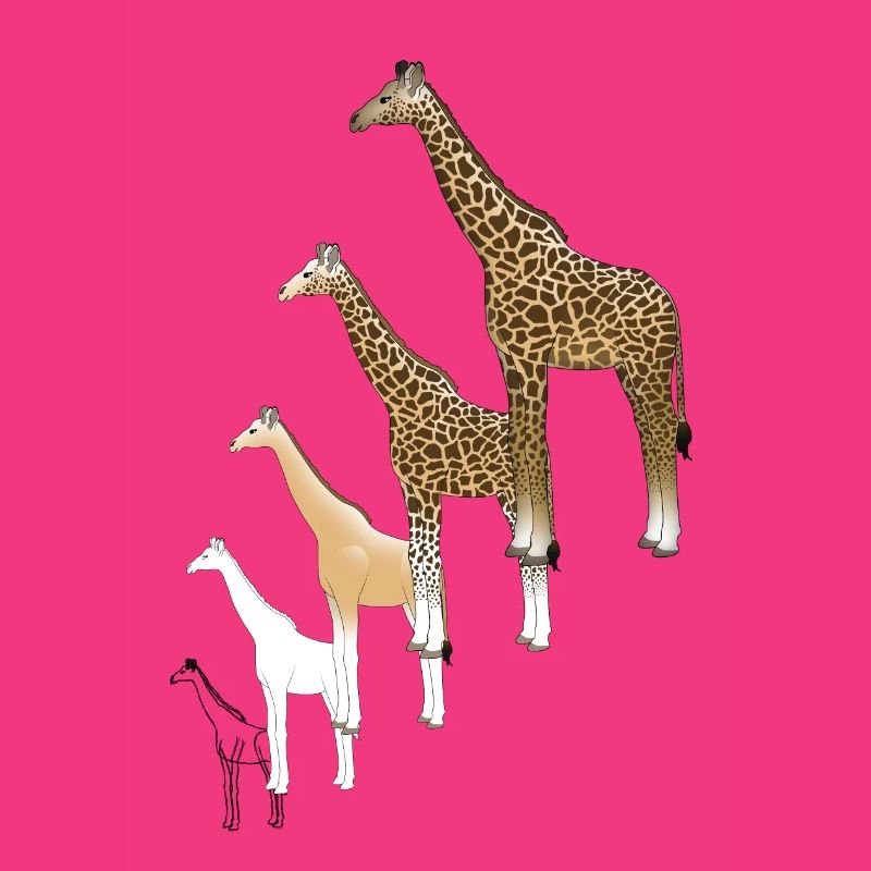 Giraffe drawing