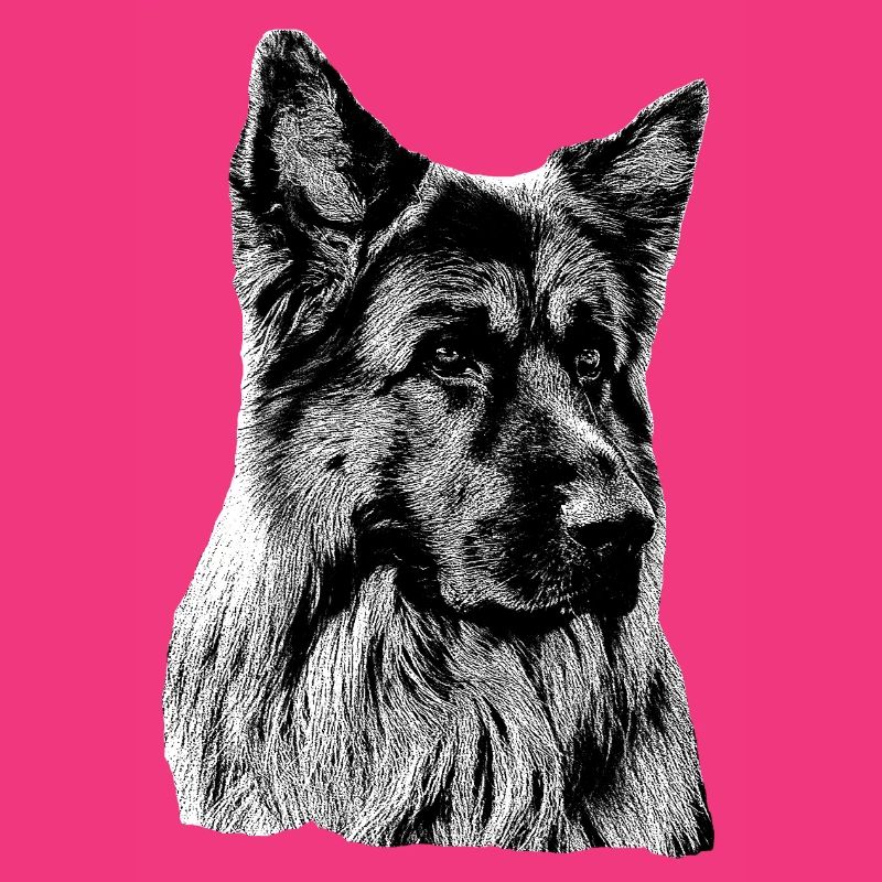 Schäferhund Deutscher Schäferhund German Shepherd