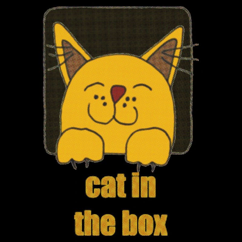 chat dans la boîte