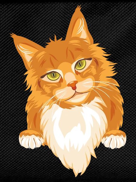 Shy cute ginger cat