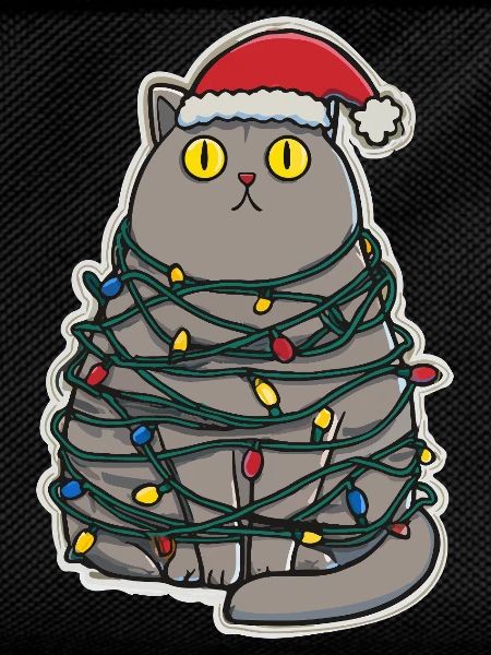 Noël chat maladroit