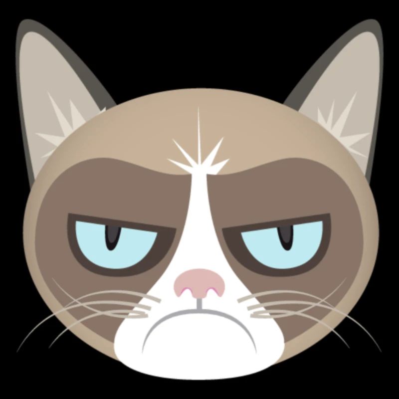 Chat grincheux