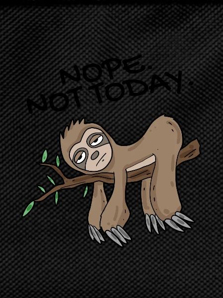 Sloth Nope not today