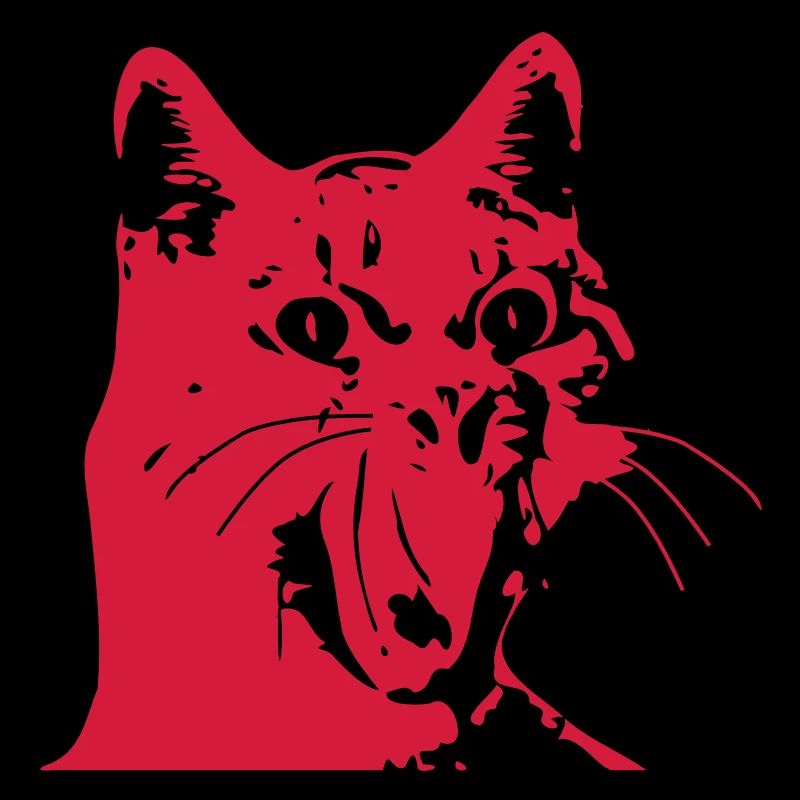 Katze OMG!