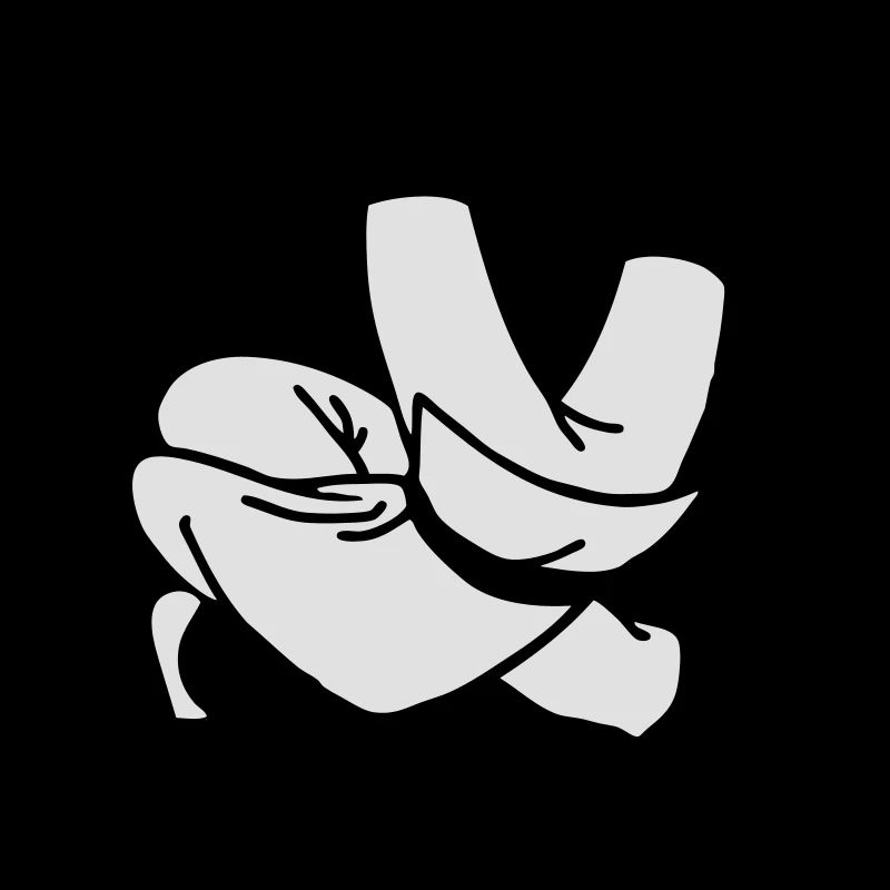 judo