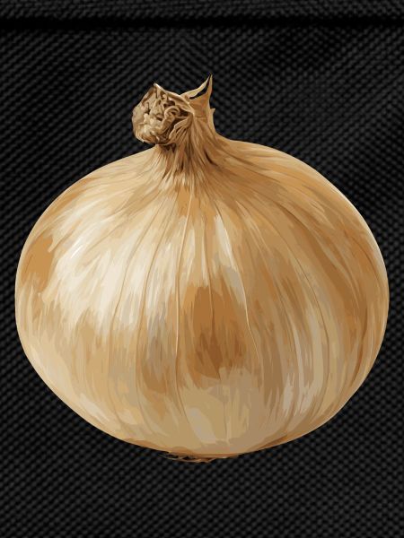 onion