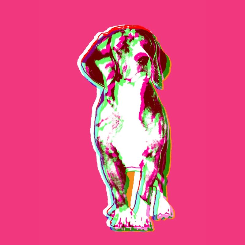 Beagle