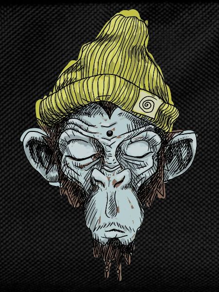 Monkey with hat