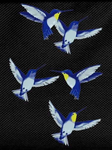 colibri