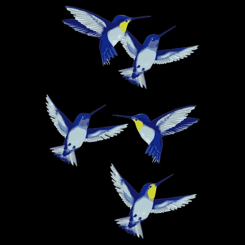 kolibri