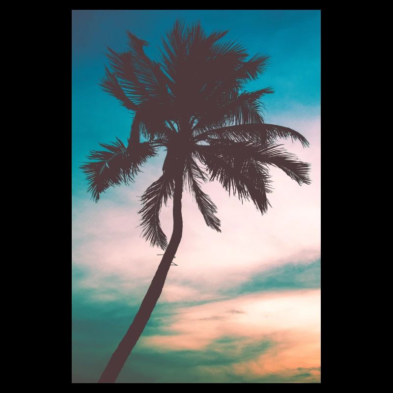 Palm tree