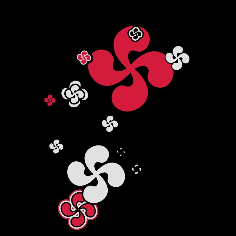 Croix Basque star