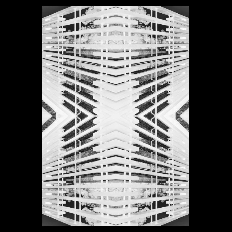 Bois abstrait V.2