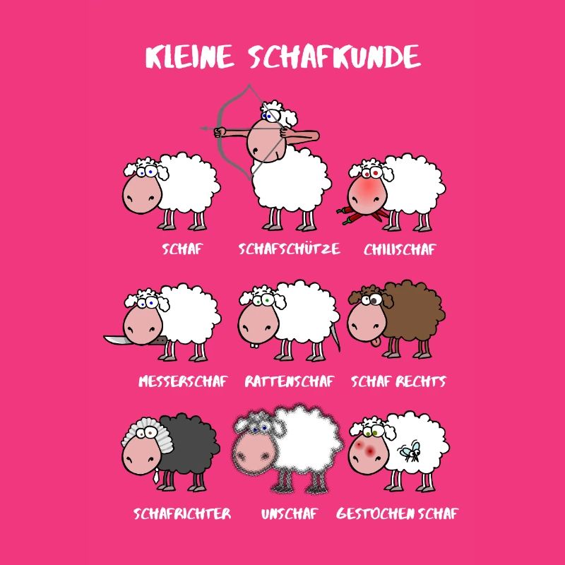 A little sheep knowledge
