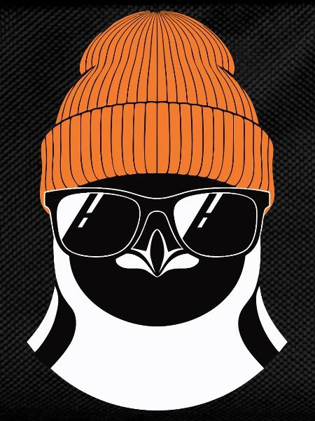 Cool penguin with winter hat