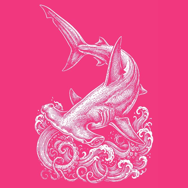 Conception du requin-marteau
