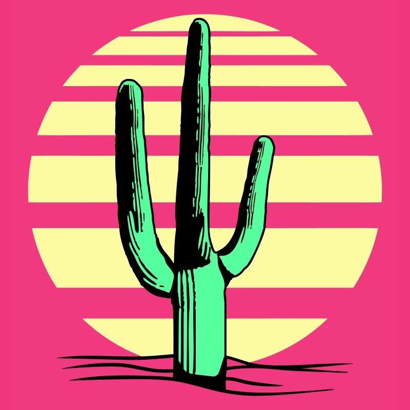 Cactus, désert, coucher de soleil, soir, nuit, cactus