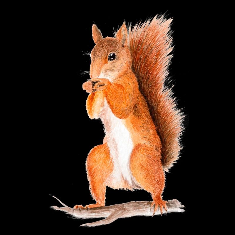eichhörnchen
