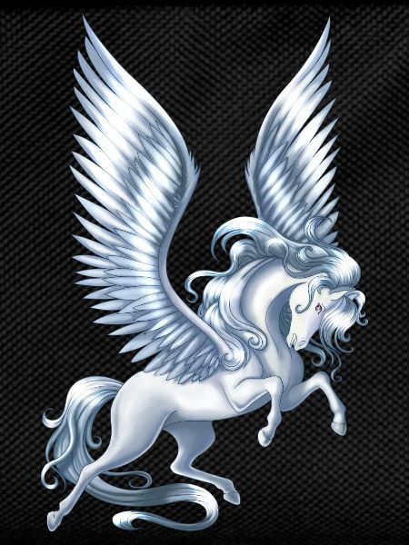 Pegasus Floating