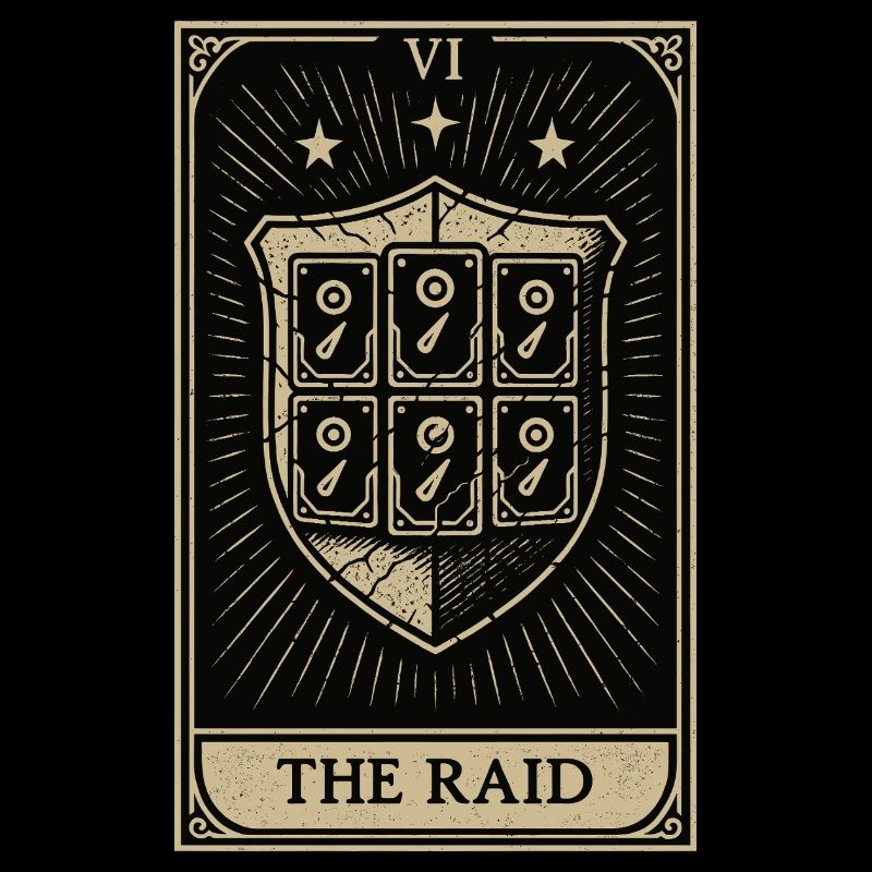 Tarot Datahoarding: Der RAID-Schutz