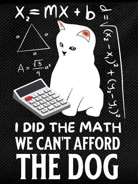 Humorous Cat Math Design