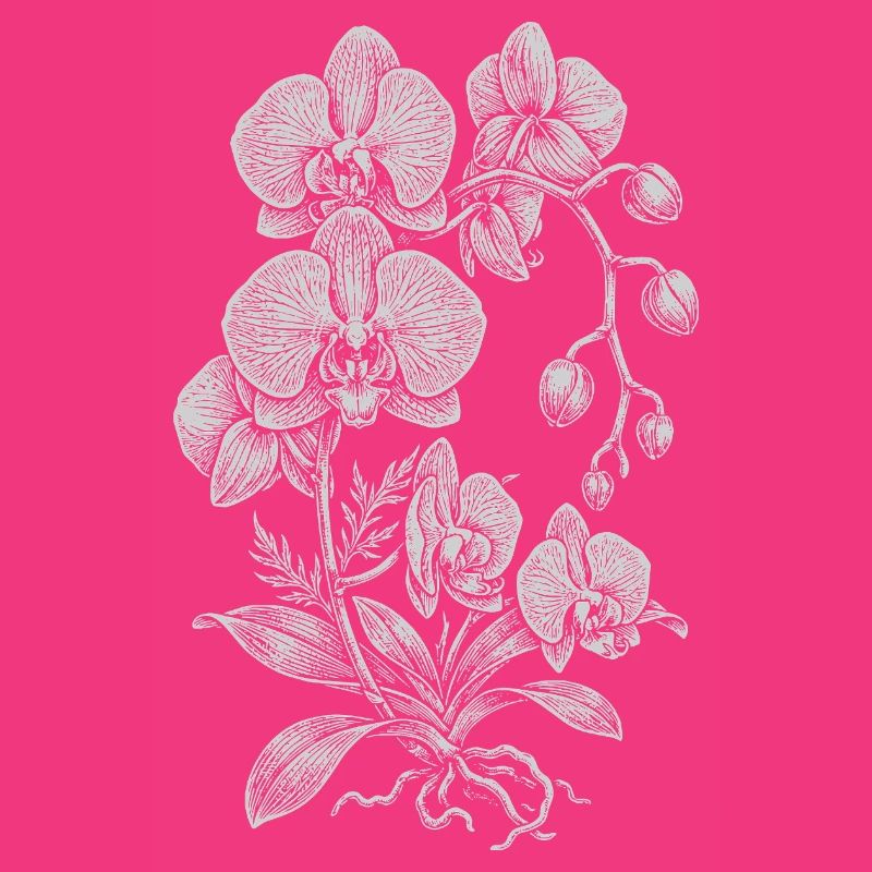 Orchidée Linework Silk Floral