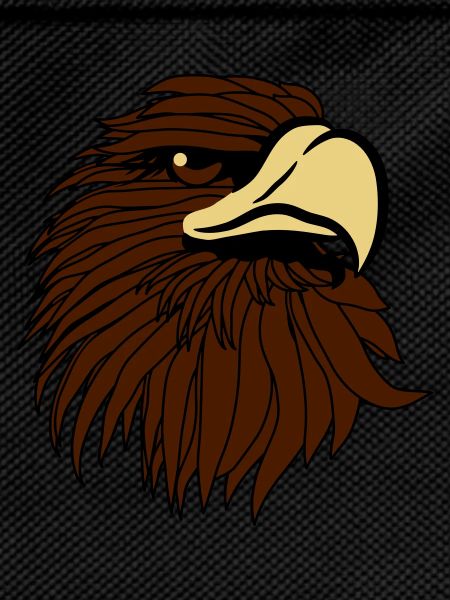 Eagle Bald Eagle