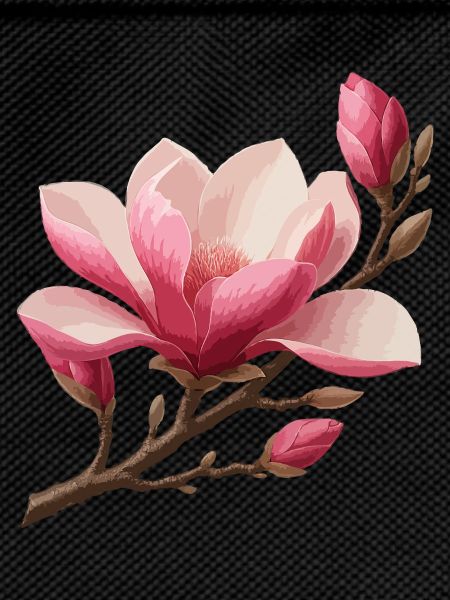 Magnolia