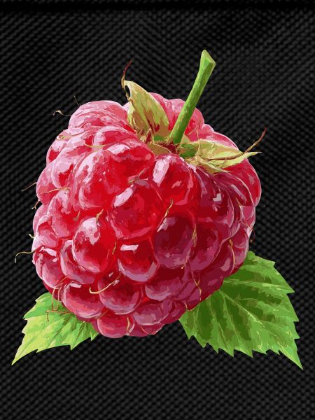 Himbeere