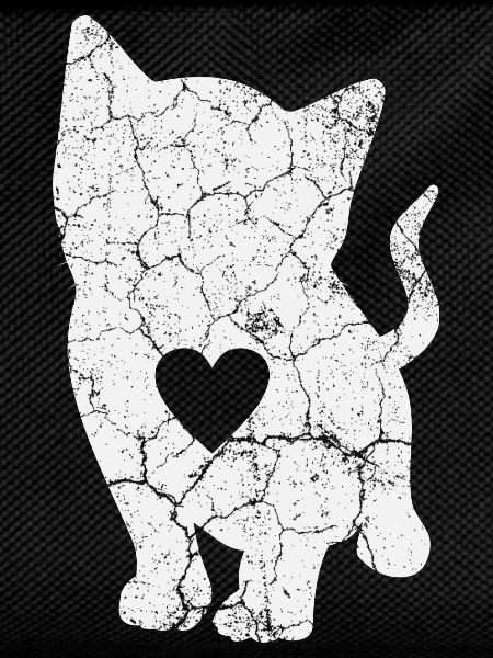 Cat Cats