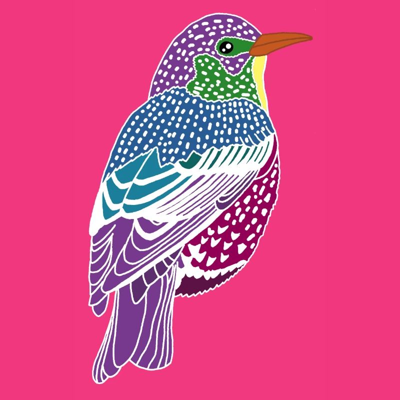 Mehrfarbiger Vogel