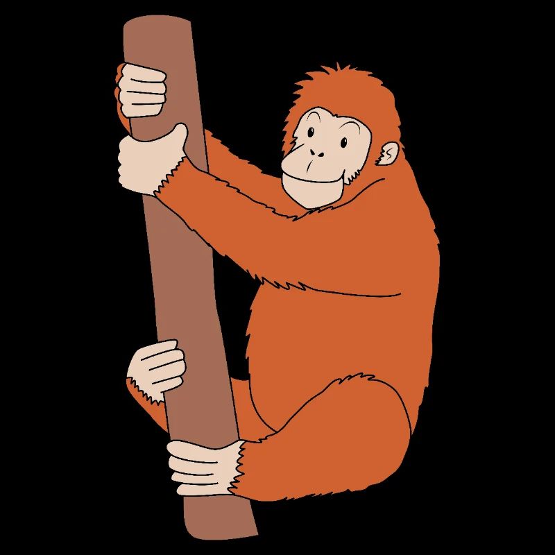 Orangutan