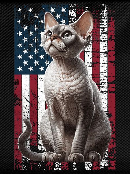 Devon Rex US Devon Rex